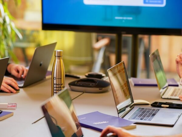 Leonaarei Empowering Startups with AI-Driven Analytics